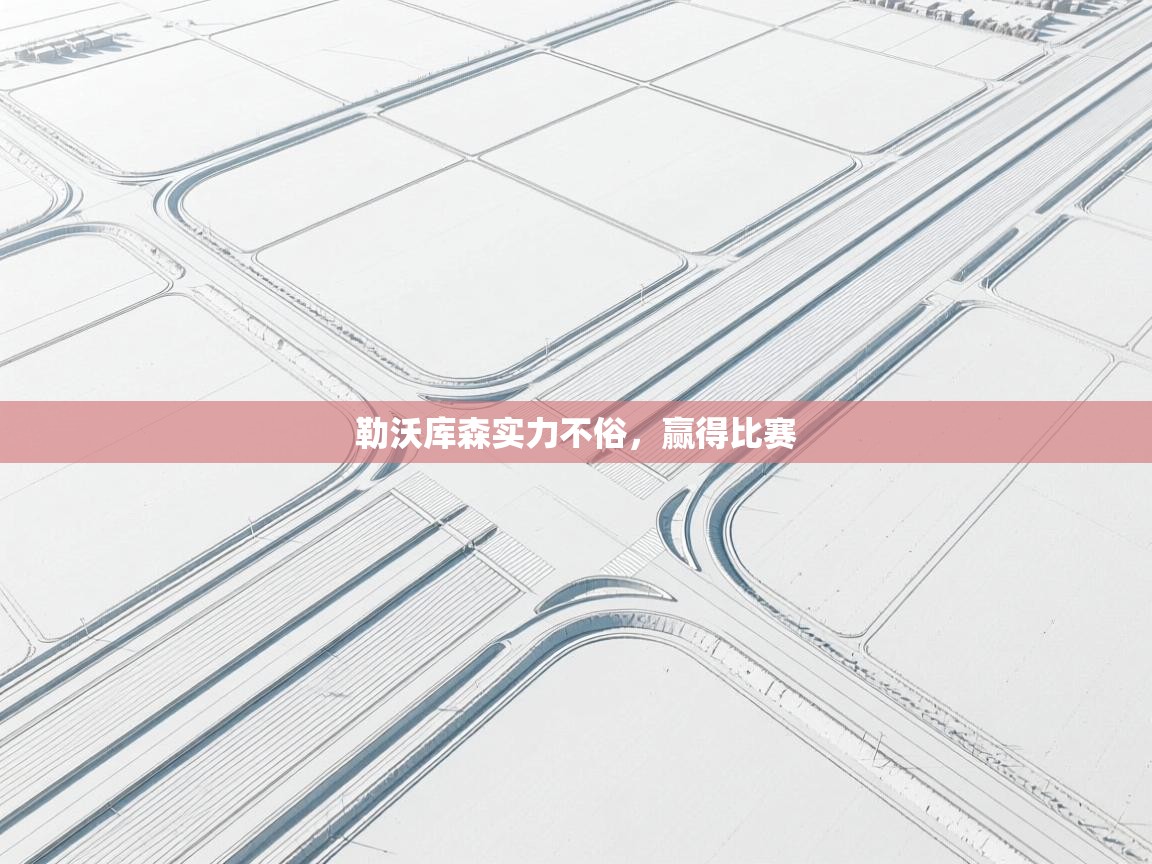 勒沃库森实力不俗，赢得比赛  第2张